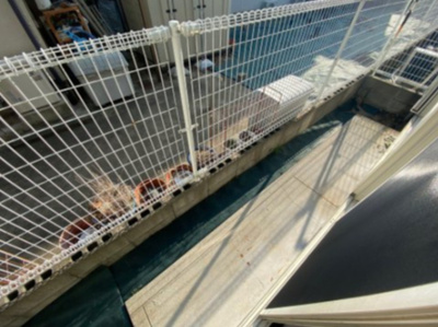 【バルコニー】 | サンヴィレッジソネ