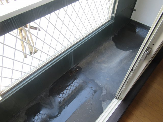 サントロペのその他