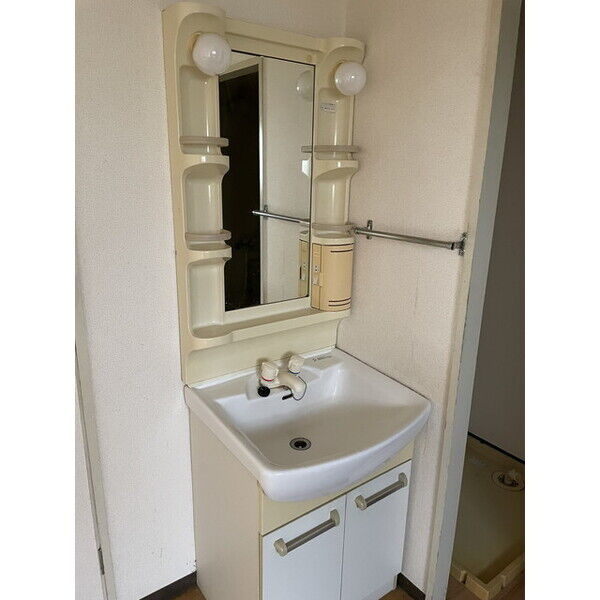 ニューシティ丸山Ａ・Ｂの洗面所