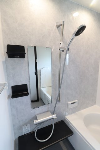 ルミナスⅠのその他