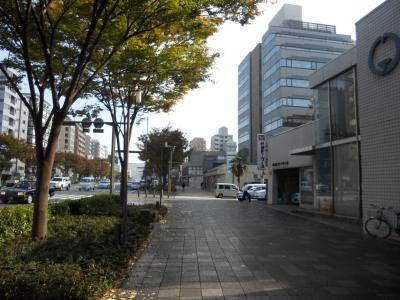 パインフィールド御池の周辺|前面道路