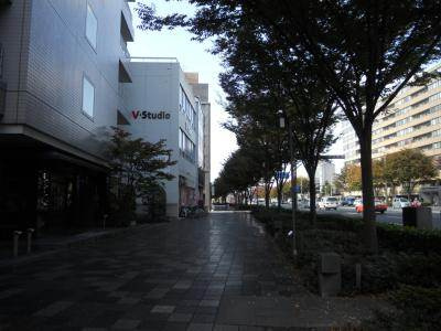 パインフィールド御池の地図|前面道路