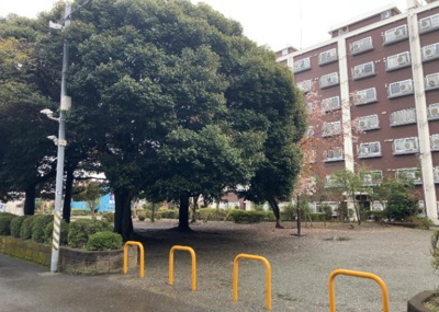 【庭】 | ルネ東林間 | 物件によっては、入居者が個人的に使用できる専用庭がついているものもあります。また、住宅の中にある土間の部分を庭と呼ぶこともあります。庭の用途は住む人によって変わり、それによってデザインもさまざまです。