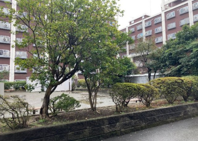 【駐車場】 | ルネ東林間 | 駐車場と明記されていても、最小スペースでつくられた駐車場だと大型車は駐車できなかったり、出入りしにくくなったりする可能性があります。お車のサイズと購入したい物件の駐車場のサイズを現地で確認しましょう。