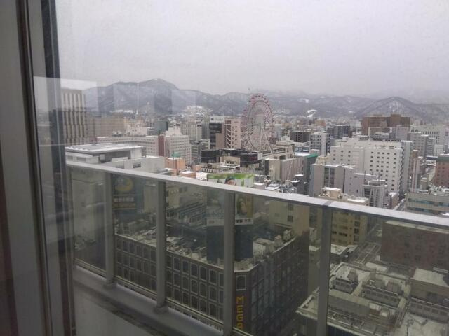 ライオンズタワー札幌の展望