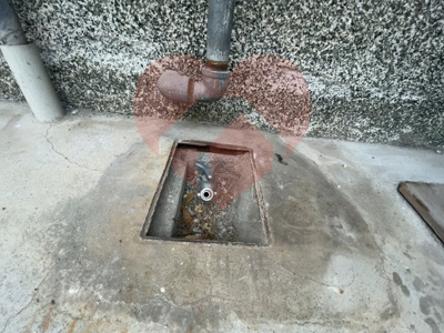  | 堺市西区下田町貸家