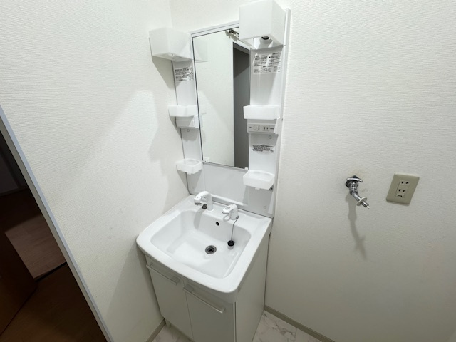 パークハイツC棟の独立洗面台
