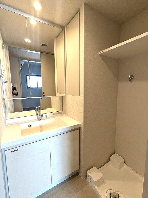 ワンルーフレジデンス新御徒町の洗面所|ハンドシャワー付き2面鏡付き独立洗面台です、排水口のお手入れし易い様に排水口を手前中央に配置し、足高の防水パン