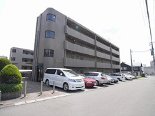 シェモア泉中央の画像