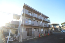 YSファミーユの画像