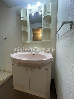 メイビスタ大淀の洗面所