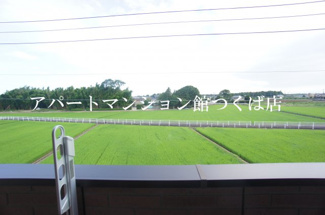【展望】