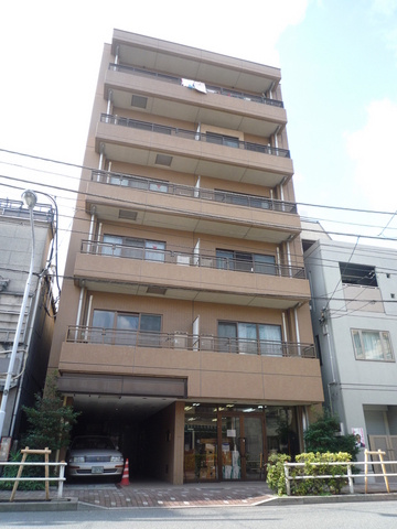 プリヴェ杉