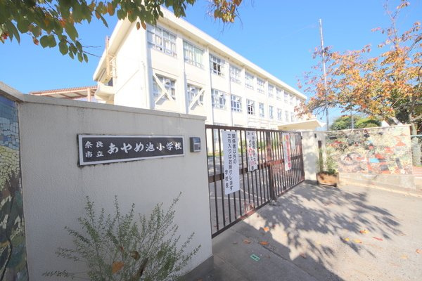オーキッドあやめ池の周辺|小学校「奈良市立あやめ池小学校まで1074m」