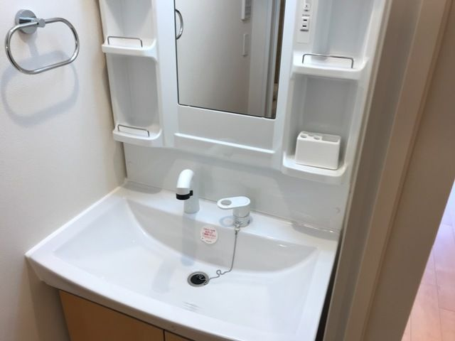ラフィネ　柏の洗面所