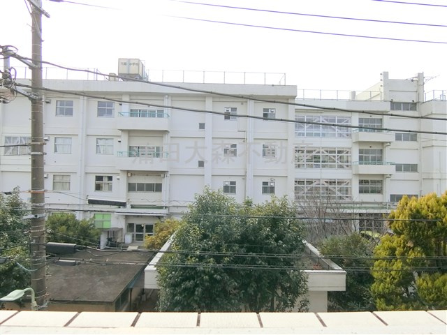 ベルグレードOZの展望|展望