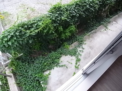 【バルコニー】 | アメニティ大久保