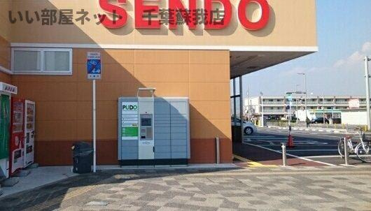 フェリスのその他