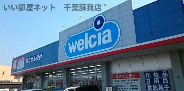 フェリスのその他