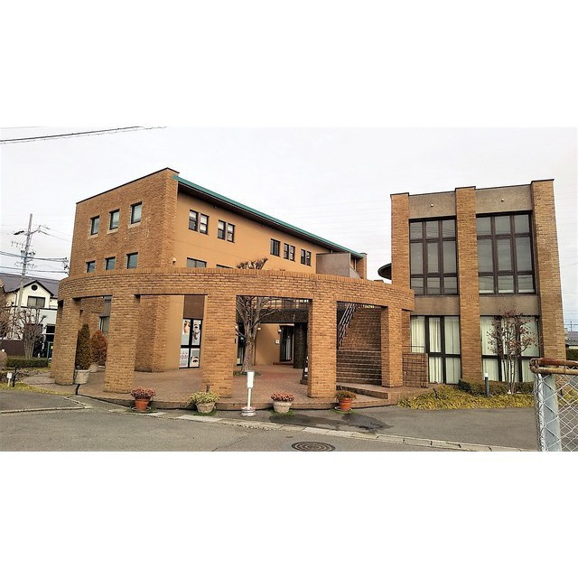 ＰＡＰＹＲＵＳ