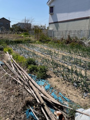 豊橋市岩屋町・土地の外観