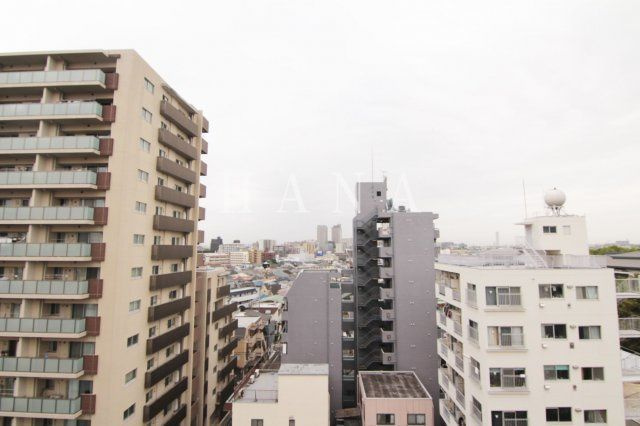 サンクチュアリーフォレストの展望|※別号室からの展望です