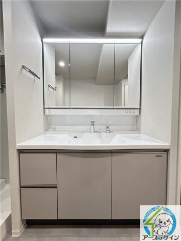 ツナマヨレジデンスの洗面所