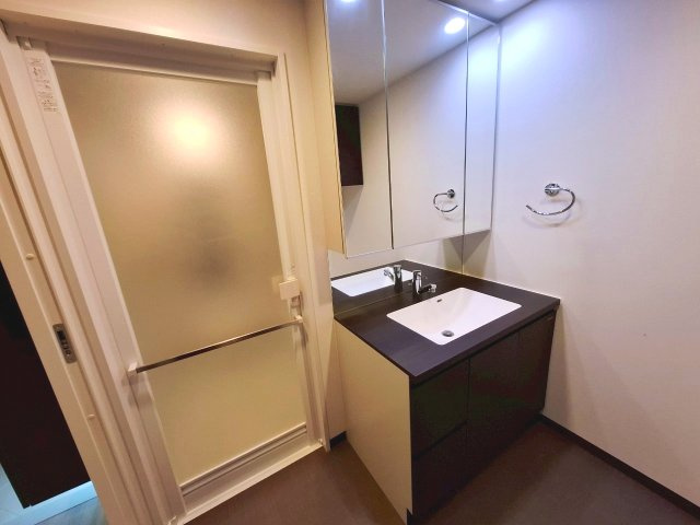 プレサンスロジェ松尾レーヴタワーの独立洗面台|洗面