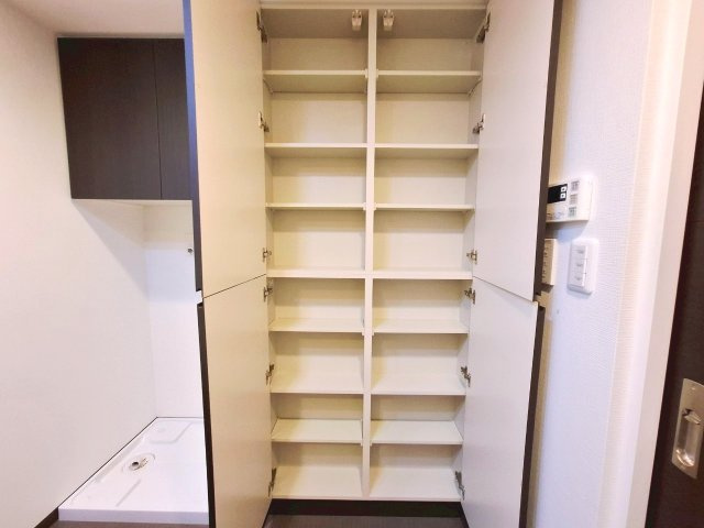 プレサンスロジェ松尾レーヴタワーの収納|洗面収納