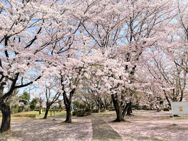 高野台南1丁目売地|公園