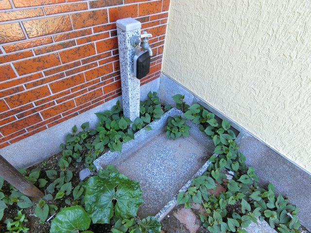 富田1984貸家の設備