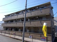 オーガストの画像