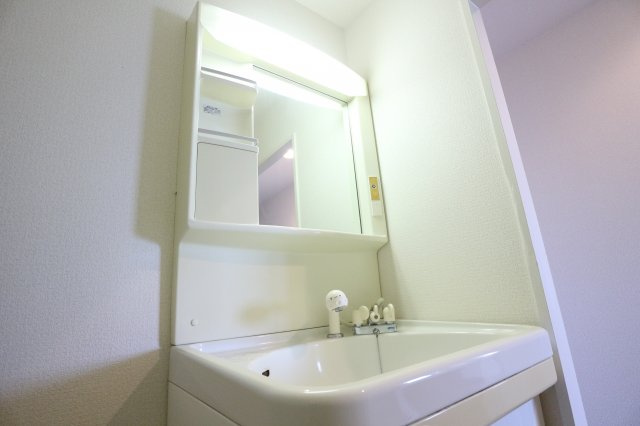 メゾンポパイの洗面所