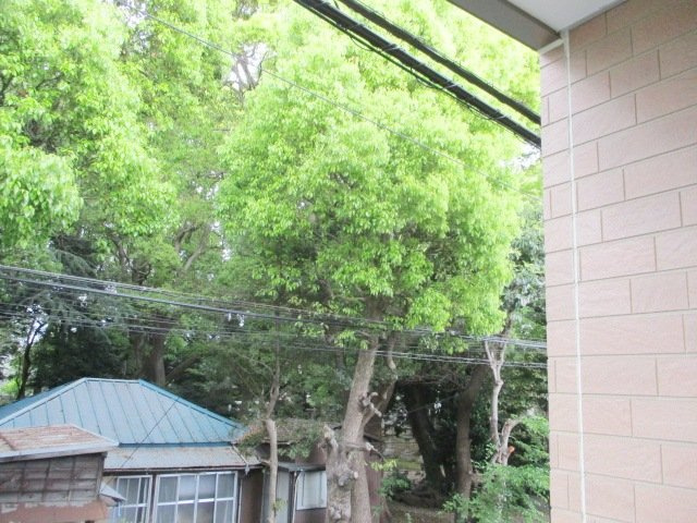 A2 Blessの展望
