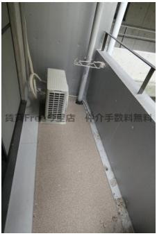 【バルコニー】 | ザ・リージェント　仲介手数料無料