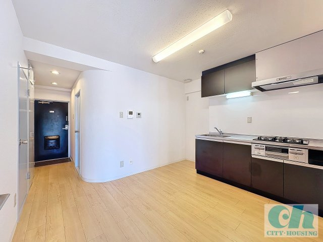 リッツ大森中央 303号室の居間・リビング