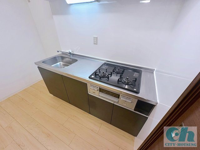リッツ大森中央 303号室のキッチン