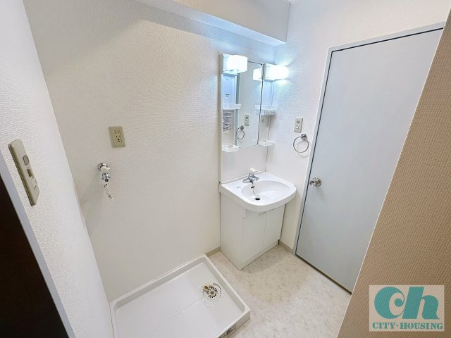 リッツ大森中央 303号室の洗面所