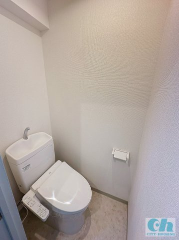 リッツ大森中央 303号室のトイレ