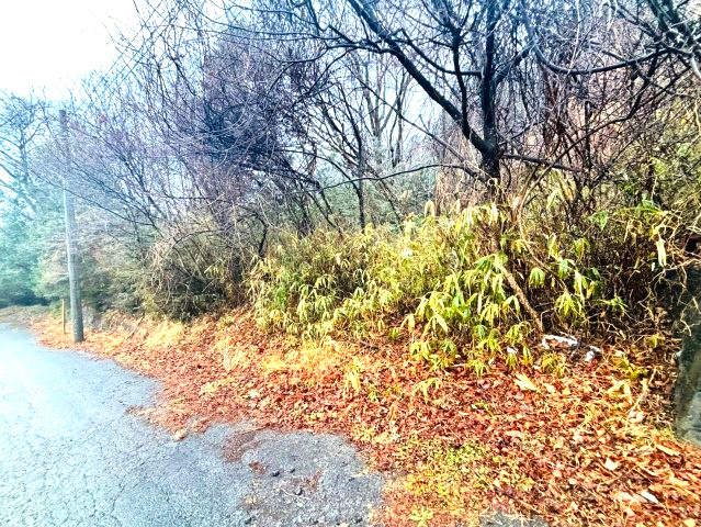 塩谷郡塩谷町　大字田所　住宅土地の前面道路含む現地写真