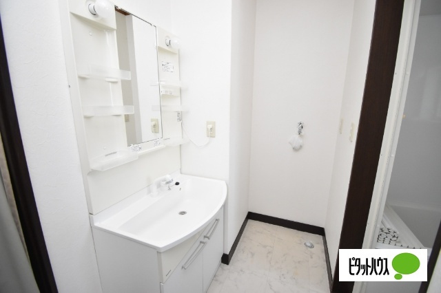 グリーンハウス敷島の洗面所