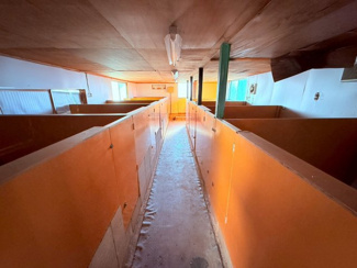 【その他】 | 霧島市隼人町西光寺