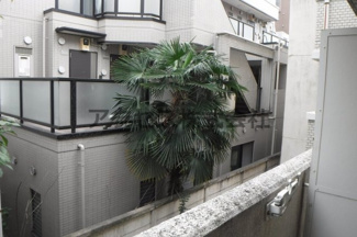 【展望】 | ※同建物別室、参考写真