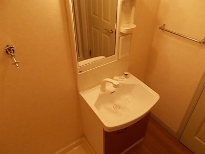 【独立洗面台】 | ルミエール（六ツ師） | ※写真は別号室