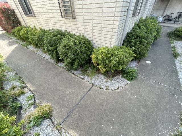 Ｐａｒｆａｇｅのエントランス