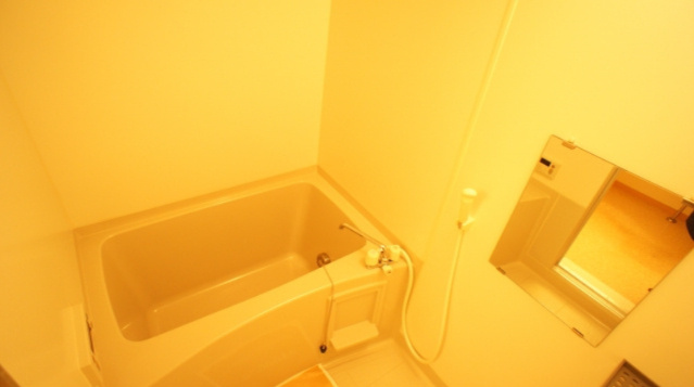 マロンハイム Ａ・Ｂの浴室