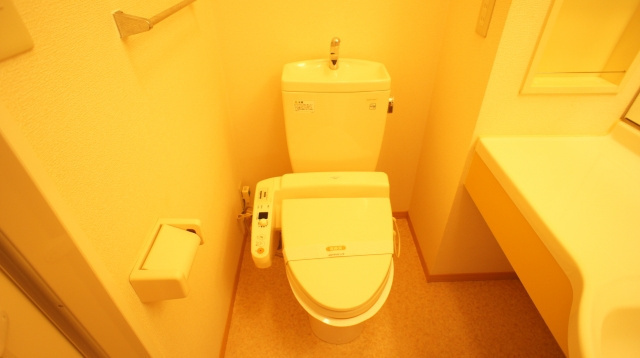 マロンハイム Ａ・Ｂのトイレ