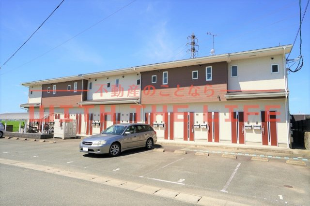 コンフォート【キャッシュバック対象】