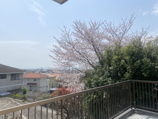 常滑市青海町4丁目の展望|2Fバルコニー　お庭の桜が咲きご自宅でお花見も♪