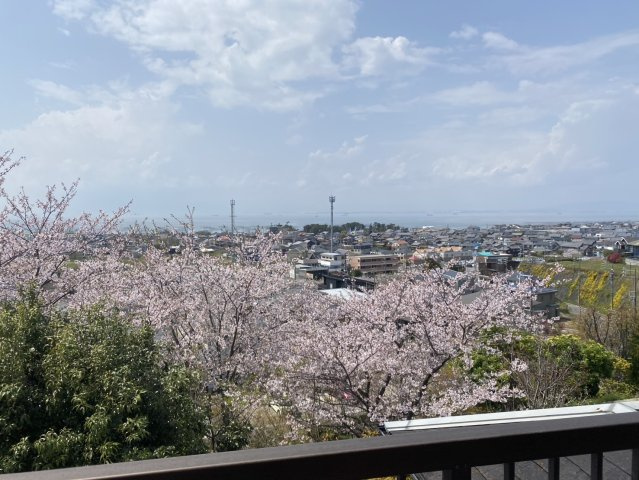 常滑市青海町4丁目の展望|3Fバルコニーからの眺望。桜の向こうには海も見えます♪